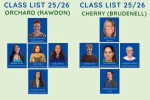 primary partnerships